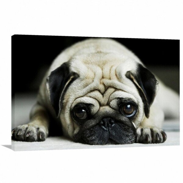Quadro Decorativo Pug Cachorro Com Tela De Tecido Madeiramadeira