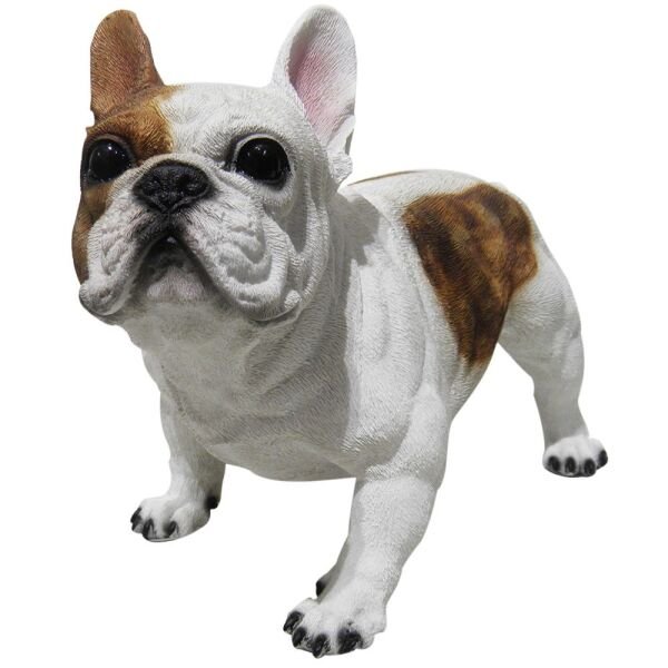 Bulldog frances branco com marrom Clearance