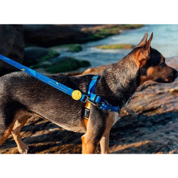 Peitoral anti puxão Clearance