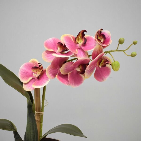 Arranjo De Orquidea Rosa Artificial No Vaso Rose Gold Madeiramadeira