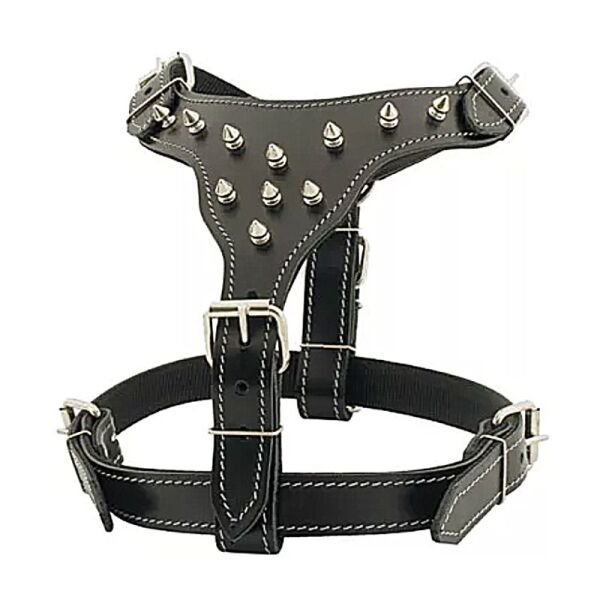 Coleira peitoral para rottweiler Clearance