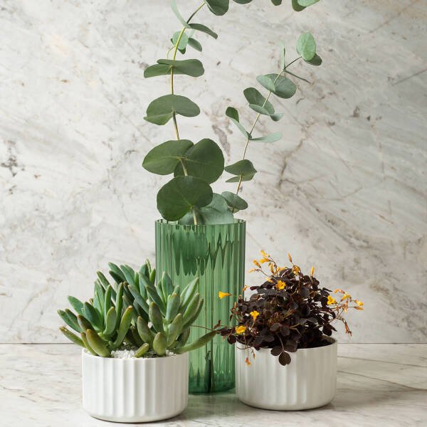 Vaso De Flor Mini Decorativo Planta Cacto Groove Jardim Ou Branco Fechado Madeiramadeira