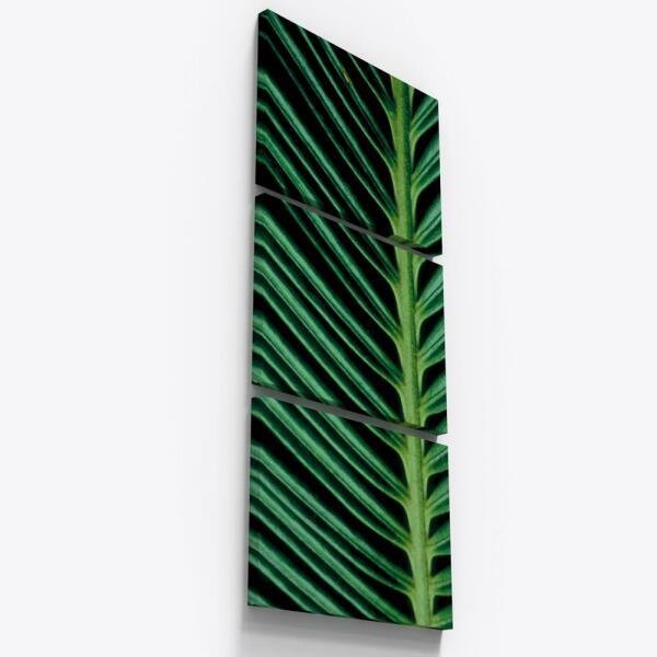 Quadro Decorativo Folha Samambaia Folhagem Planta Natureza Madeiramadeira